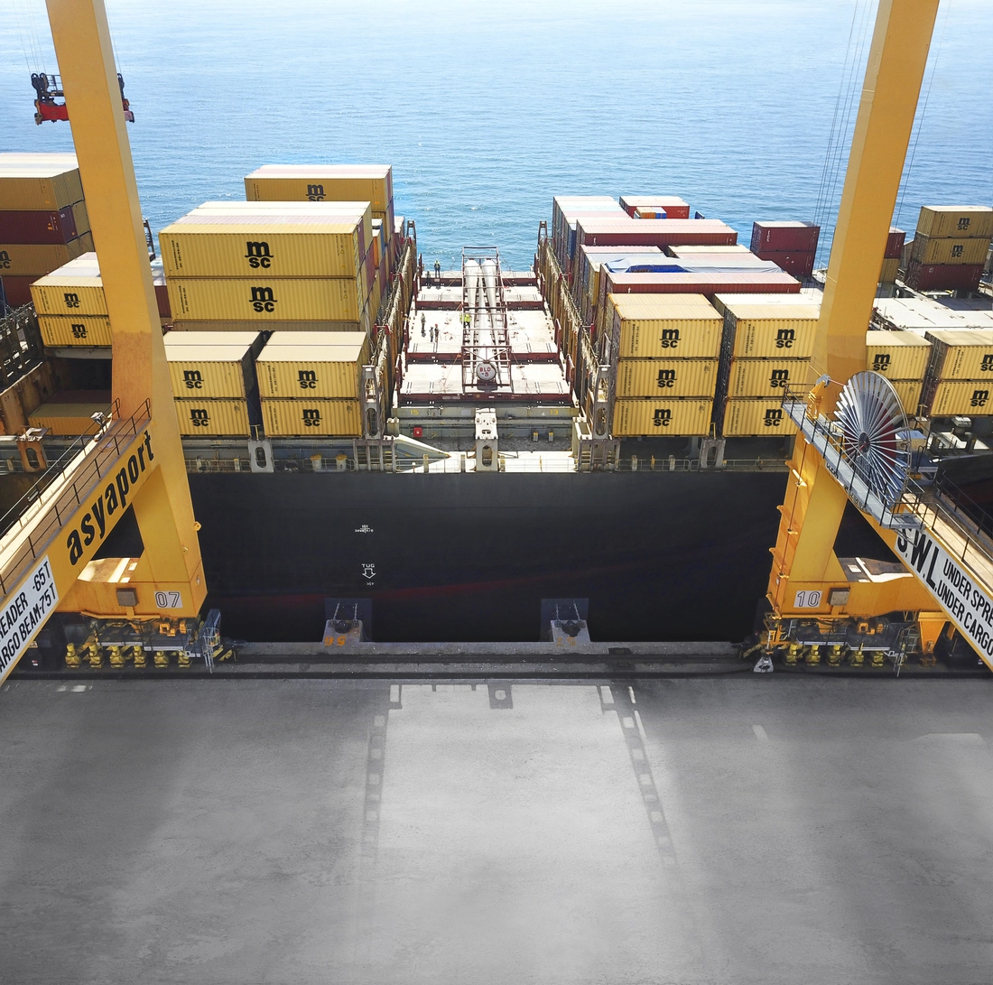 MSC18017094.jpg