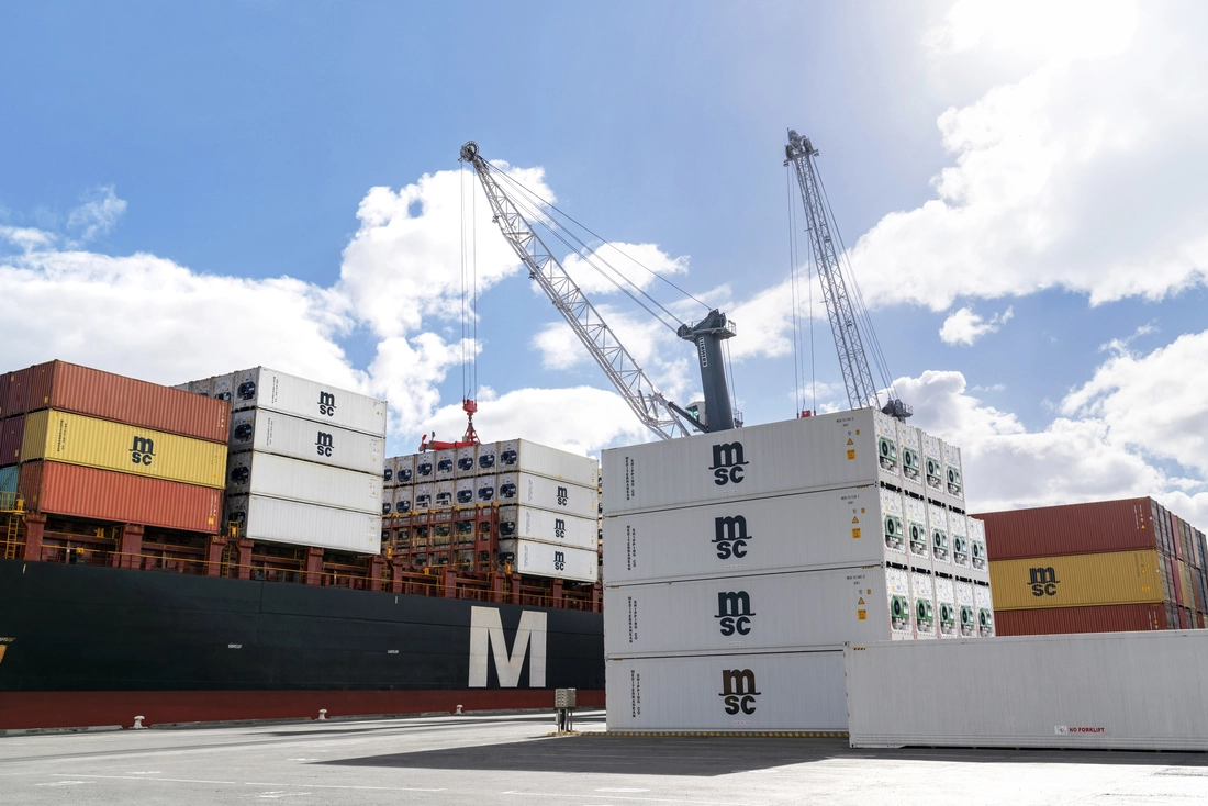 MSC19018641.jpg